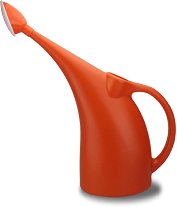 Watering Can Plastic Small Watering Can for Indoor Plants, Cute Plastic