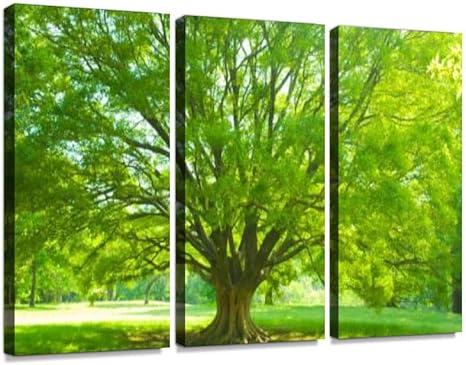 Amazon Co Jp ガーデン芝生 晴れている 朝 栽培する 森林 植物 樹木 田畑 病院 種 空 素材 緑色 美しさ 背景 自然 芝生 芝生地 芝草 草原 草地 葉 里山 風景ポスター パネル 現代壁の絵 壁掛け 部屋飾り 背景絵画 壁アート