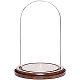 Plymor 4" x 7" Small Glass Display Dome Cloche