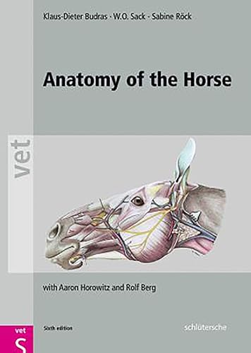 Download Anatomy of the Horse PDF