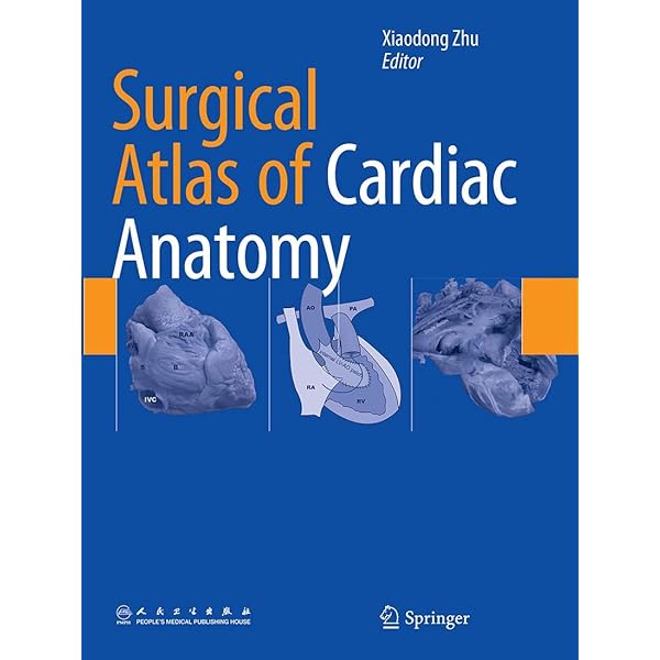 Atlas of Cardiac Surgery (Springer Surgery Atlas Series