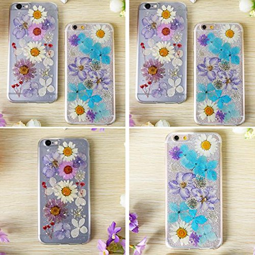 image for MonkeyJack 10 Pieces 1- 2cm Mini Pressed Dried Ammi majus Flower For R