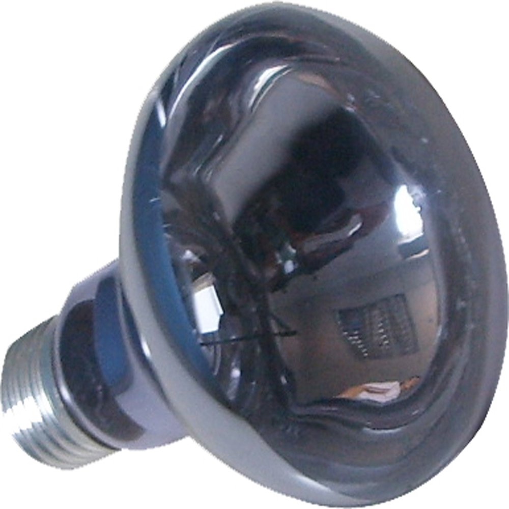 Reptizoo B95150 Daylight Lamp 150 W