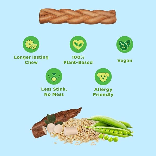 BRIGHT PLANET PET | BETTER BULLY VEGAN DOG CHEWS 2CT LARGE | LONG LASTING CHEW | HYPOALLERGENIC ALLERGY- FRIENDLY PLANT-BASED | MADE IN USA