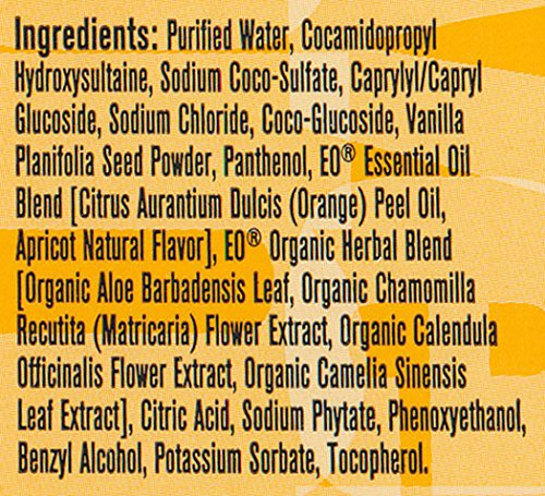 EVERYONE FOR EVERY BODY HAND SOAP, APRICOT PLUS VANILLA, 12.75 FL OZ