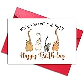LYMEQING Happy Birthday Cat Theme Card for Him Her Men Women, Funny Birthday Gift Card for Cat Lover Friend Sister Brother Cousin Coworker