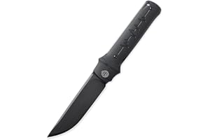 Petrified fish PFB04 Tena Folding Knife, 3.82" D2 Steel Black Stonewashed Blade G10 Handle Pocket Folding knife for EDC Camping Outdoor (Black Black Stonewashed)