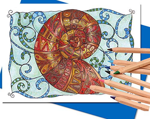 Under the Sea Coloring Greeting Cards for Adults | Birthdays or Thank You Cards | 12 Unique A6 Designs | Blue Envelopes Included