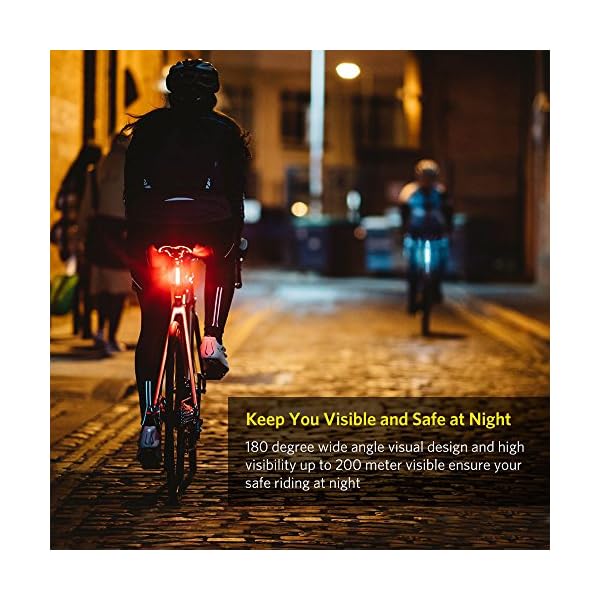 ThorFire Bike Tail Light, USB Rechargeable LED Waterproof Bike Light