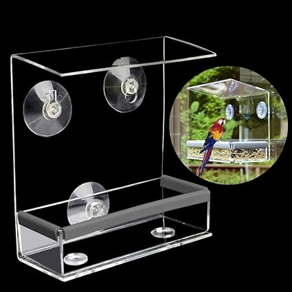 Amazon Com Hot Bird Feeding Creative Pet Bird Feeder Clear
