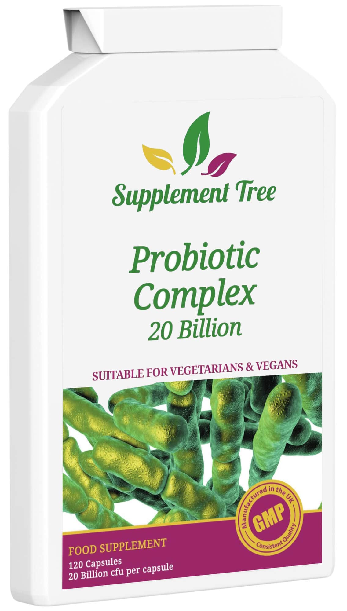 Probiotics Complex 20 Billion CFU Per Vegan Capsule | 120 Targeted Release Capsules | Vegan Probiotic Supplement