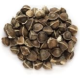 30 Organic Moringa Oleifera Drumstick Seeds, Non-GMO, for Sprouting, Planting, and Cooking by Mai's Family