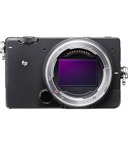 Amazon.com : Sigma fp Mirrorless Full-Frame Digital Camera with