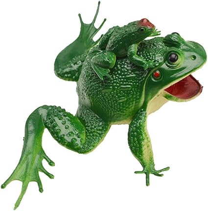 Jouet grenouille Clearance