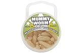 Mummy Worm Natural - 35 Wax Worms - Preserved Live