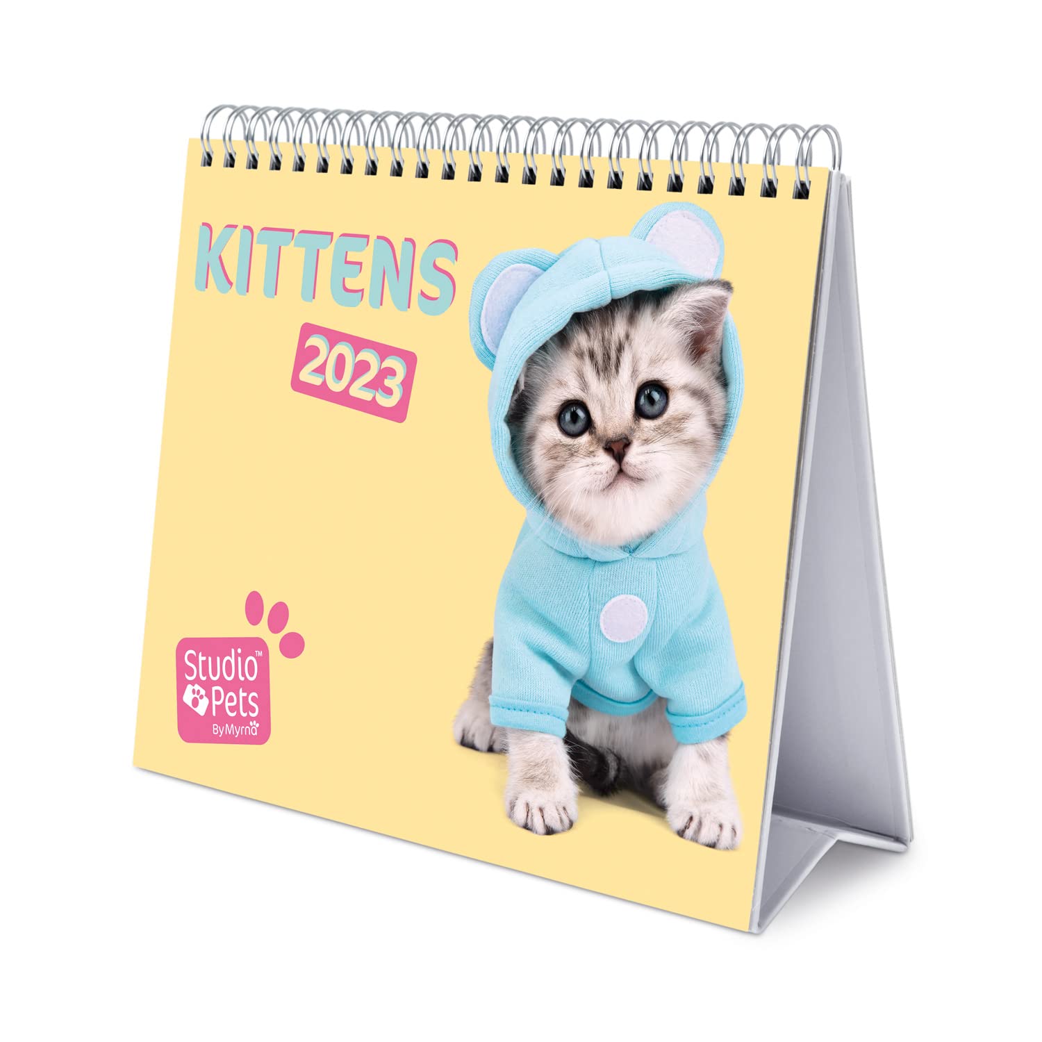 Grupo Erik Studio Pets Cats Calendar 2023 - Desktop Calendar 2023-7 X 8 Inches / 18 X 20 - Cats Desk Calendar 2023-12 Month 2023 Planner - Cat Calendar 2023