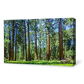Canvas Wall Art for Living Room,Bedroom Home Artwork Paintings Red Wood Ready to Hang - 12x18 inches