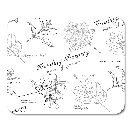 Tapis De Souris Collection Vert Contour Tendance Verdure Illustrations Motif Dessin Botanique Tapis De Souris Pour Ordinateurs Portables Ordinateurs De Bureau Tapis De Souris Fournitures De Bureau Amazon Fr Informatique Tapis De Souris Collection Vert Contour Tendance Verdure Illustrations Motif Dessin Botanique Tapis De Souris Pour Ordinateurs Portables Ordinateurs De Bureau Tapis De Souris Fournitures De Bureau Amazon Fr Informatique