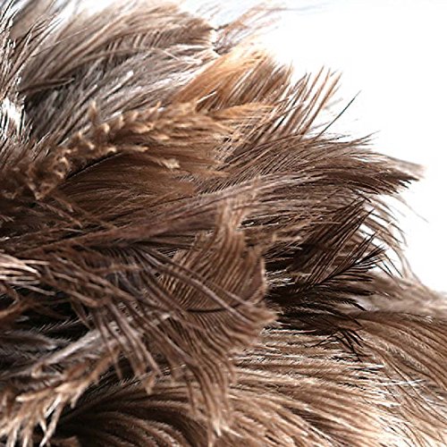 Ostrich Feather Duster,Long Ostrich Feather Duster Fluffy Natural