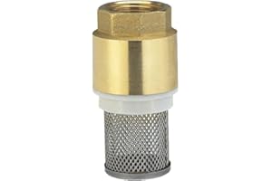 Brass Foot Valve Mesh Check Valve, 3/4" Vertical Foot Valve Female Connection with Strainer Filter