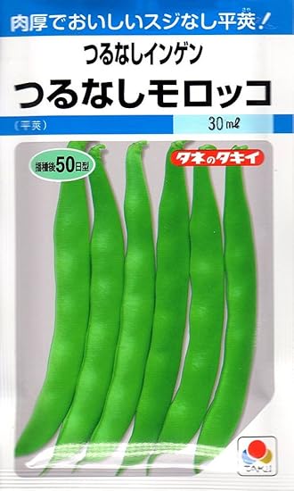 Amazon 種子 つるなしインゲン モロッコ タキイ種苗のタネ 野菜
