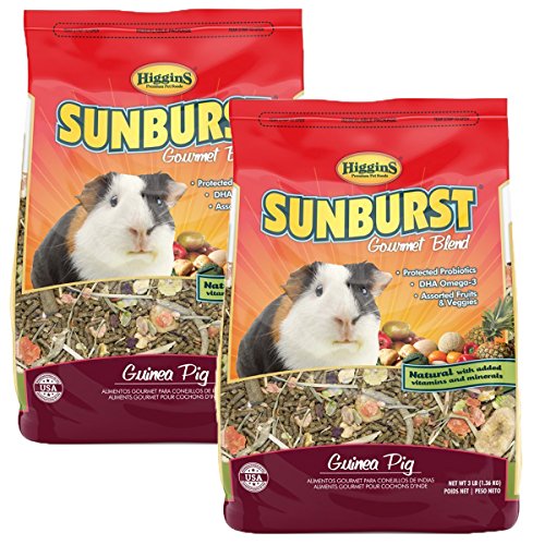 Higgins Sunburst Gourmet Guinea Pig Food Mix