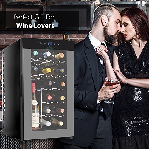 NutriChef 18 Bottle Thermoelectric Red And White Wine Cooler/Chiller