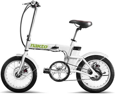 electric bike not charging