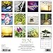 Zen 2018 Calendar