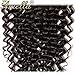 Amella Hair Brazilian Curly Hair 4x4 Free Part Lace Closure (16