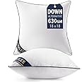 MIULEE 18x18 Pillow Inserts Set of 2 Throw Pillows 18 Inch Premium Down Alternative Pillow Inserts Decorative Pillow Stuffer for Sofa, Couch (18x18 inch, Set of 2)