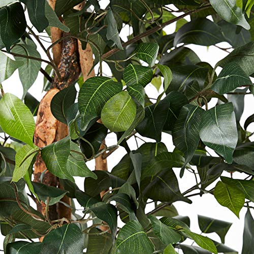 Nearly Natural 6ft. Ficus Artificial Trees, 72in, Green on Galleon