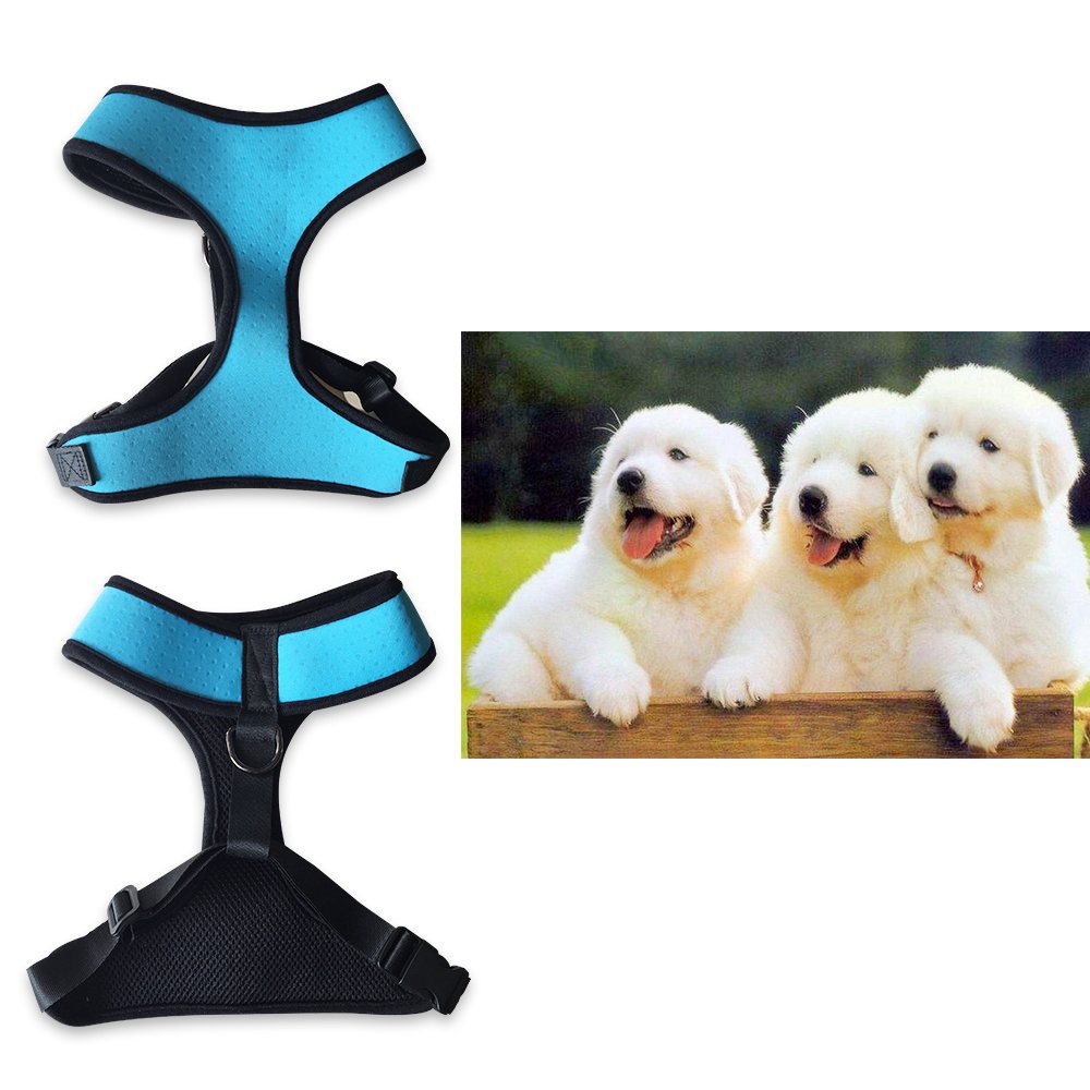 Roadwi Front Range Dog Harness Vest, Adjustable Soft Neoprene Breathable Padded, No-Pull Safety for Walking, Hiking, Training, Running. Neck: 40cm, Chest: 55-75cm (Large, Blue)