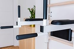 BenchK - Wooden Swedish Ladder Wall Stall Bar