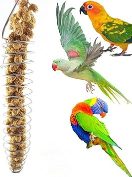 Beiguoxia Funny Bird Feeder Portable Stainless Steel Spiral Feeder