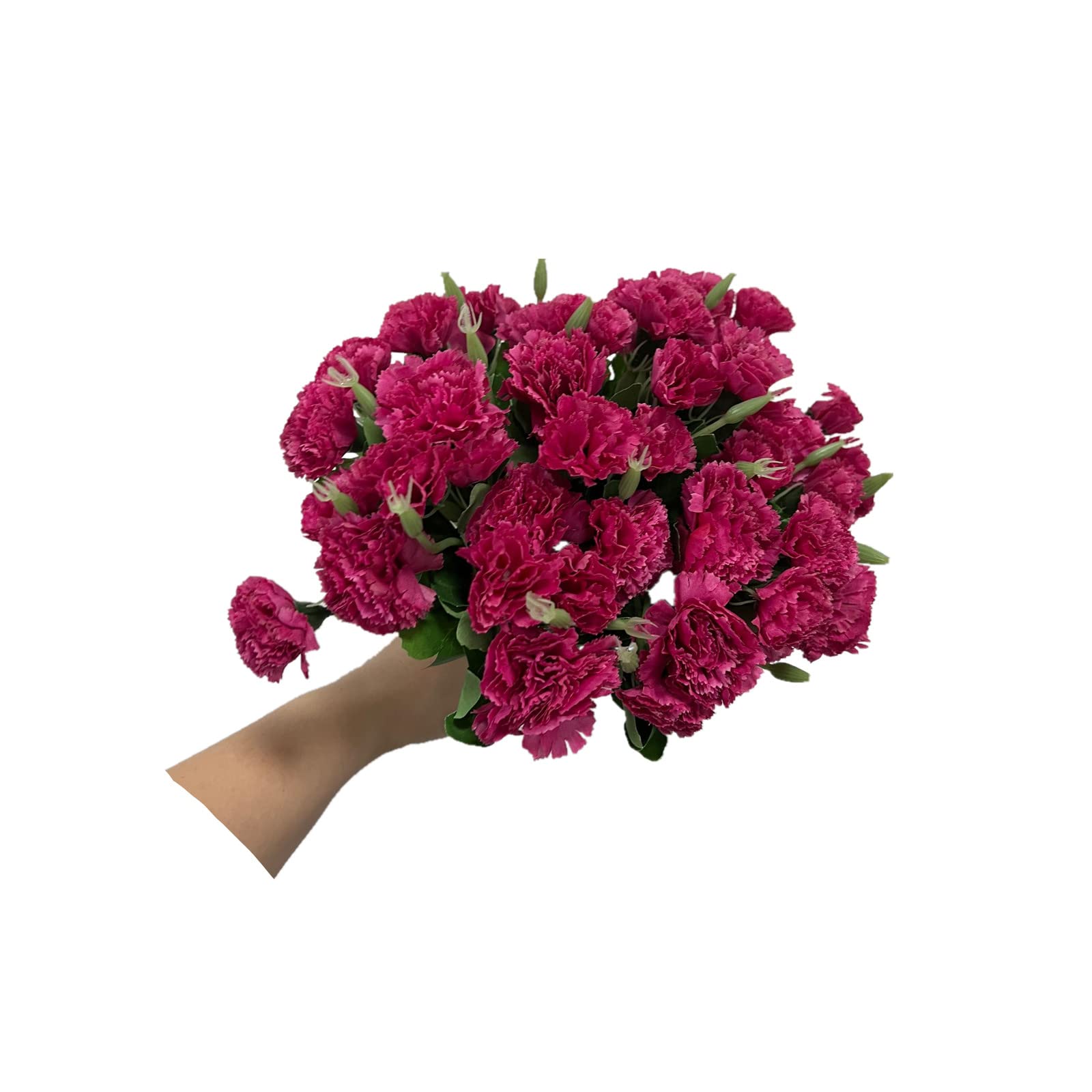 4 Bunches Bouquet of Artificial Silk Flower Carnations,12'' Bouquet and Green Leaf for Photo Props Home Party,Bridal Wedding Holding Flowers Festival Decoration with 10 Per Bunch Flower(Violet) — image 1