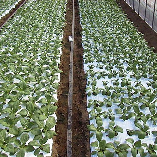 Amazon Co Jp 個人宅配送不可 タイベック マルチ 700ag 3 0m 100m 野菜 フルーツ 花卉 カ施 代不 Diy 工具 ガーデン