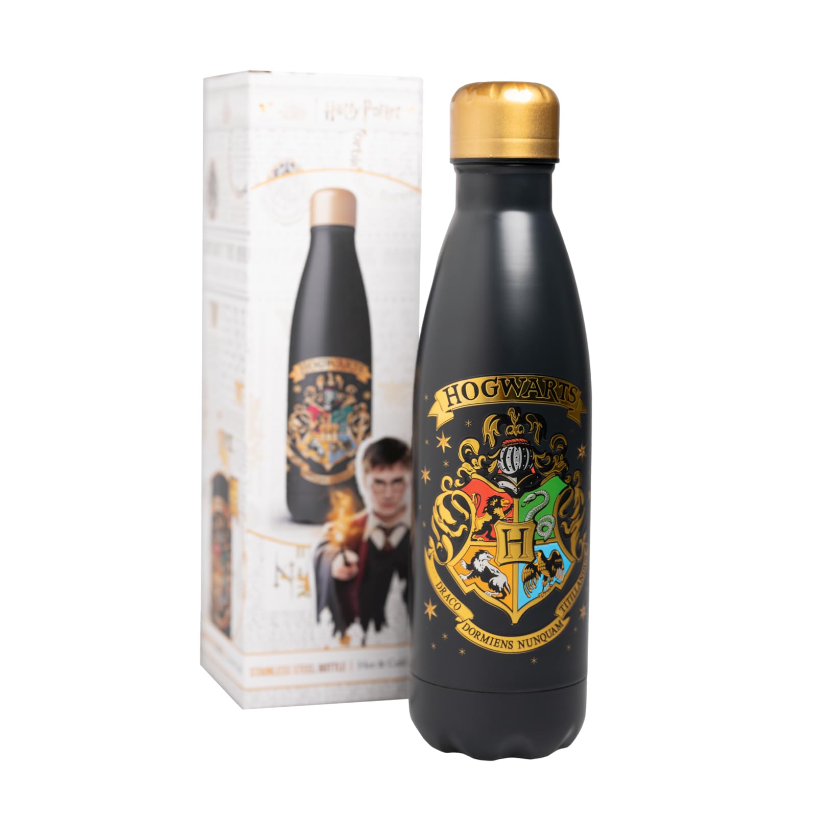 Grupo Erik Metal Water Bottle 500ml / 17oz - Dobby Harry Potter Merch | Hot and Cold Water Bottle Stainless Steel, Cute Travel Bottles Gym | Harry Potter Gifts Under 20 Pounds