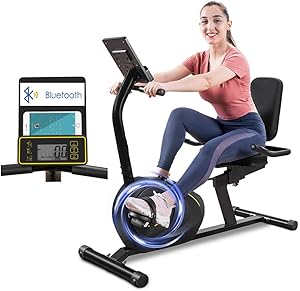 400 lb capacity recumbent bike