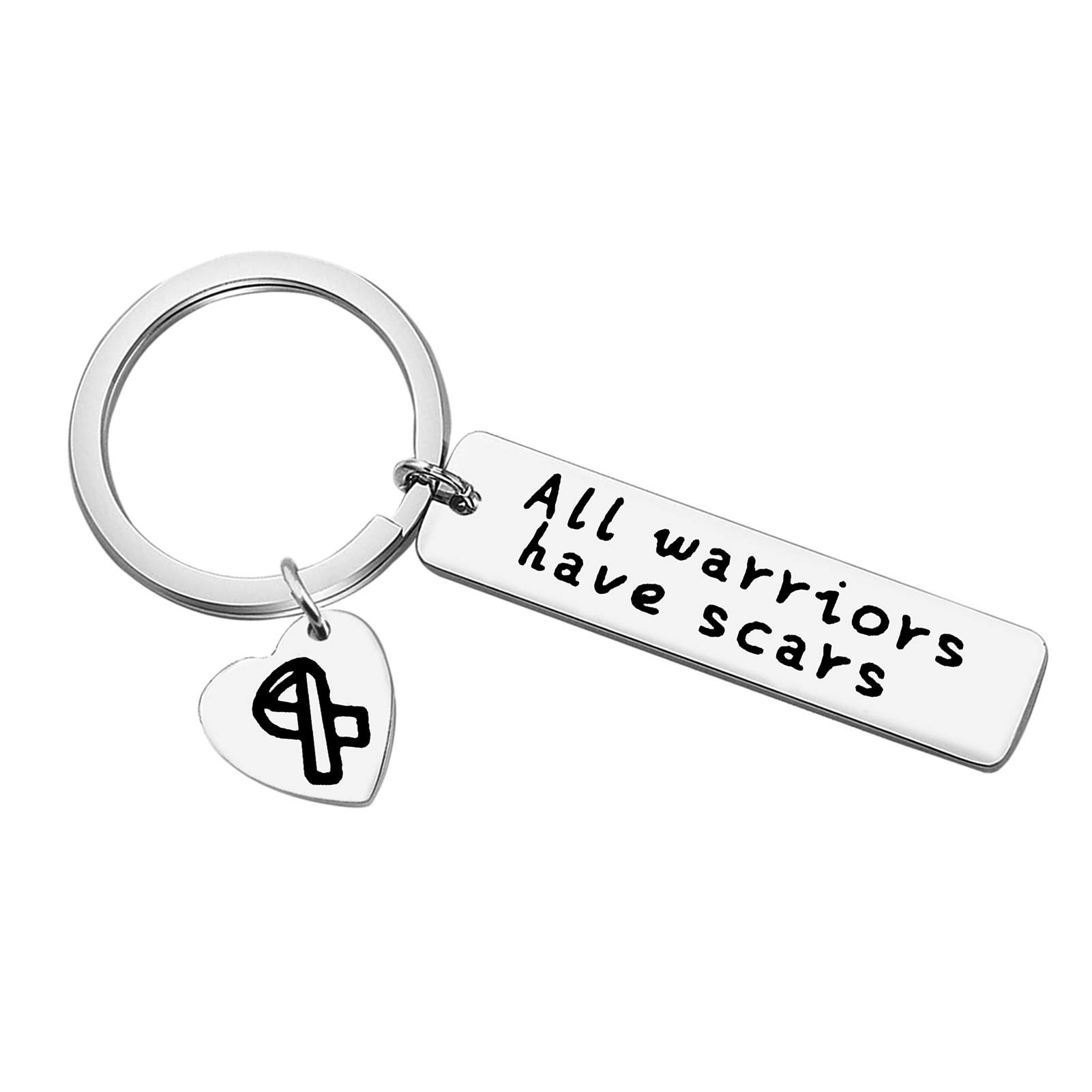 All Warriors Have Scars Keyring Cancer Awareness Inspirational Keychain Gift Recovery Keyring for Breast Cancer,Multiple Sclerosis,Cancer Survivor Christmas Birthday Gift for Cancer Warrior Fighter