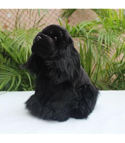 Zijn Cocker Spaniels agressief? Tips voor gehoorzaamheidstraining