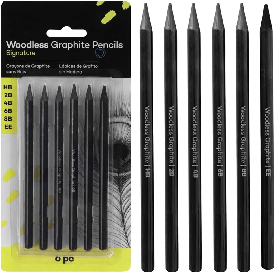 Woodless Charcoal Pencils Set,6 Pcs Professional Pure Carbon Sketch Pens Assorted HB 2B 4B 6B 8B EE Pencil for Drawing Sketching Painting Students Artist Beginners Kids