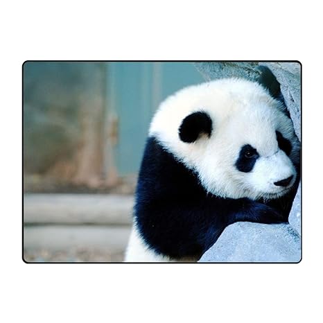 Amazon Com Xiozurv Baby Panda Wallpapers Doormats Rug