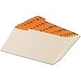 Oxford 05832 Laminated Tab Index Card Guides, Daily, 1/5 Tab, Manila, 5 x 8 (Set of 31)