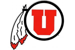 GAME DAY OUTFITTERS NCAA Utah Utes Car Magnet Sm