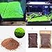 Aquarium Plants Seeds, Double Leaf Carpet Water Grass Green Aquatic, for Fish Tank Rock Lawn Garden Decoration