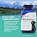 Pure Wild Alaskan Salmon Oil for Dogs, Omega 3 Fish Oil Supplement for Healthy Skin & Shiny Coat, Prevents Itchy Skin, Skin Allergies & Shedding, 120 Soft Capsules