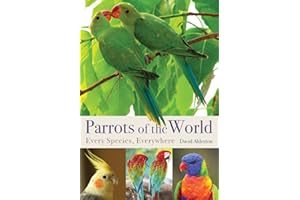 Parrots of the World: Every Species, Everywhere