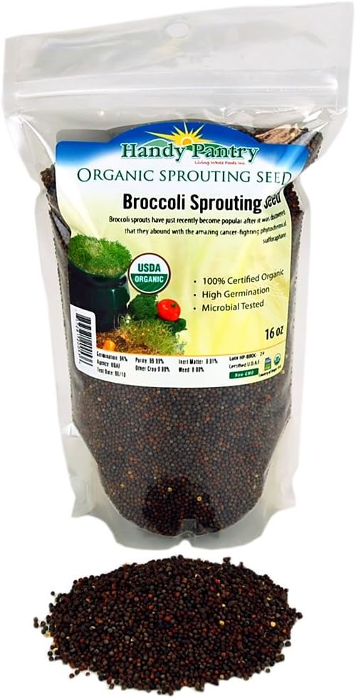 Amazon Com Handy Pantry Organic Broccoli Sprouting Seed 16 Oz