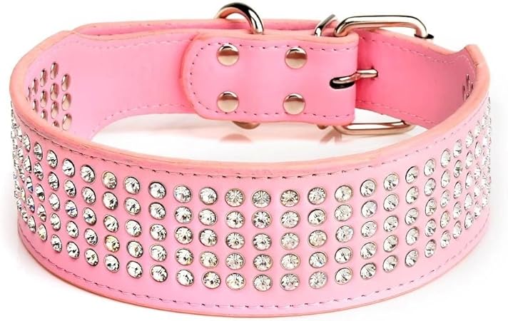 dachshund miniature poodle mix